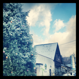 image-20121209121242.png